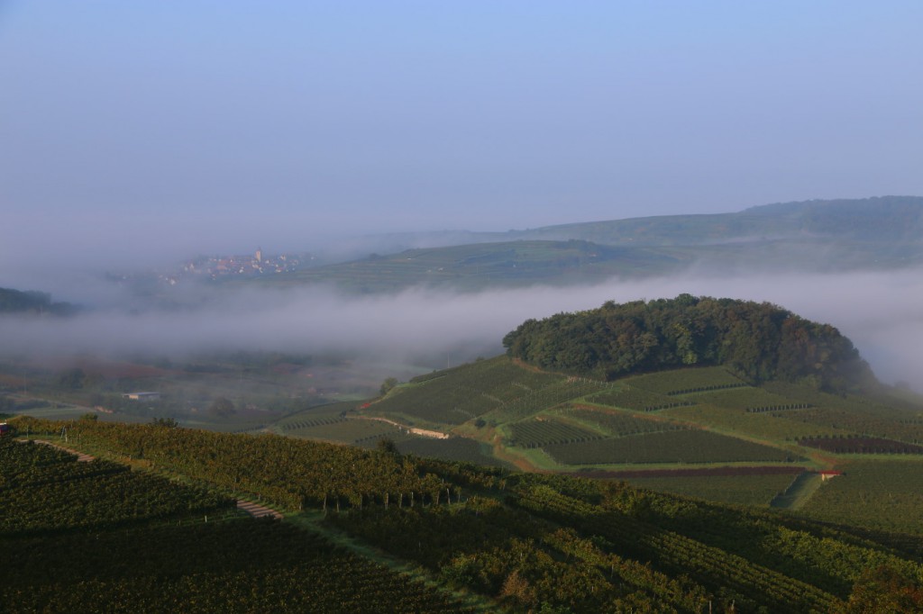 enselberg nebel